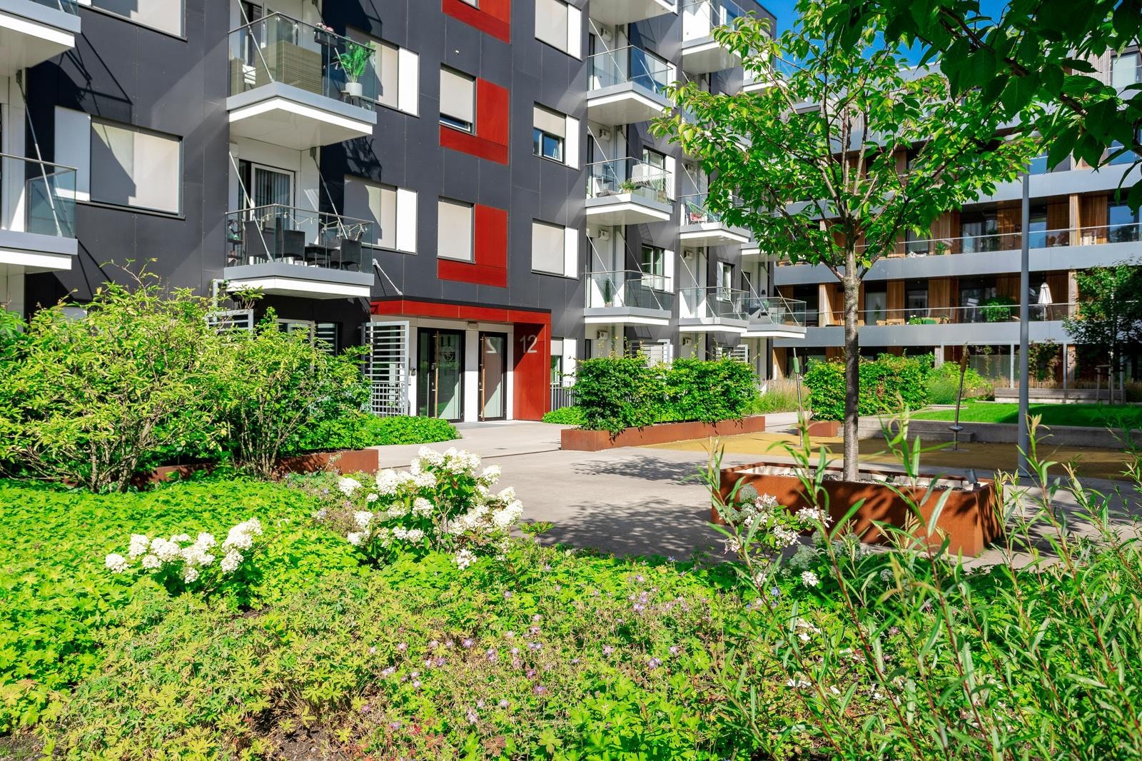 Uteområde. Galleribilde