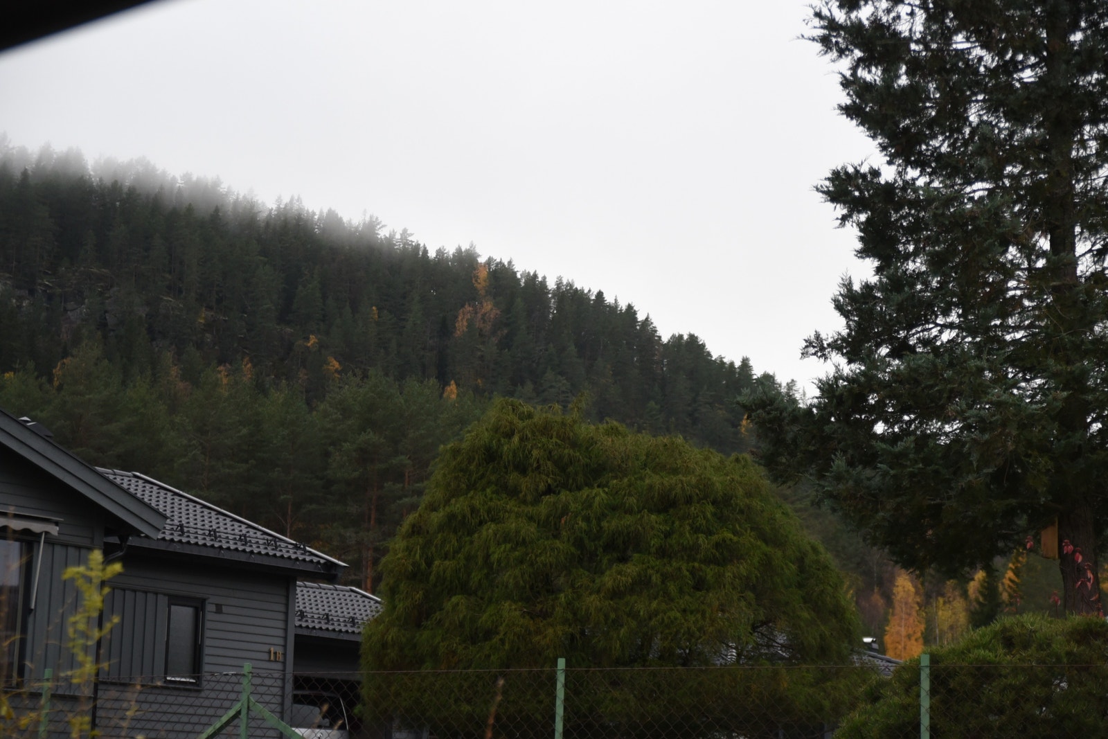 Leiligheten ligger i stille område nær natur og vekk fra vei støy. Samtidig er det nærme til butikk og gåavstand til sentrum Galleribilde