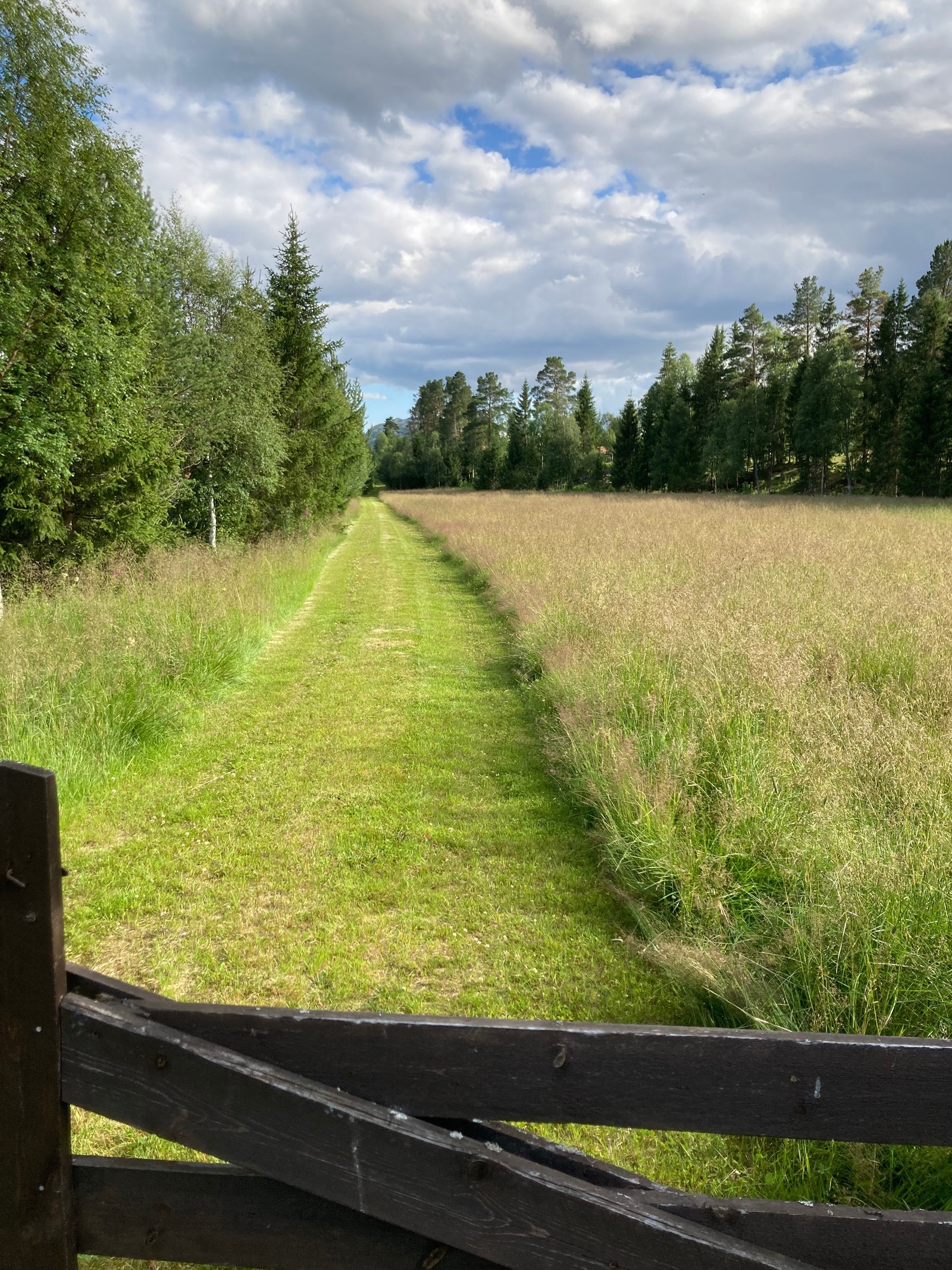 Driftsvei nord for tun Galleribilde