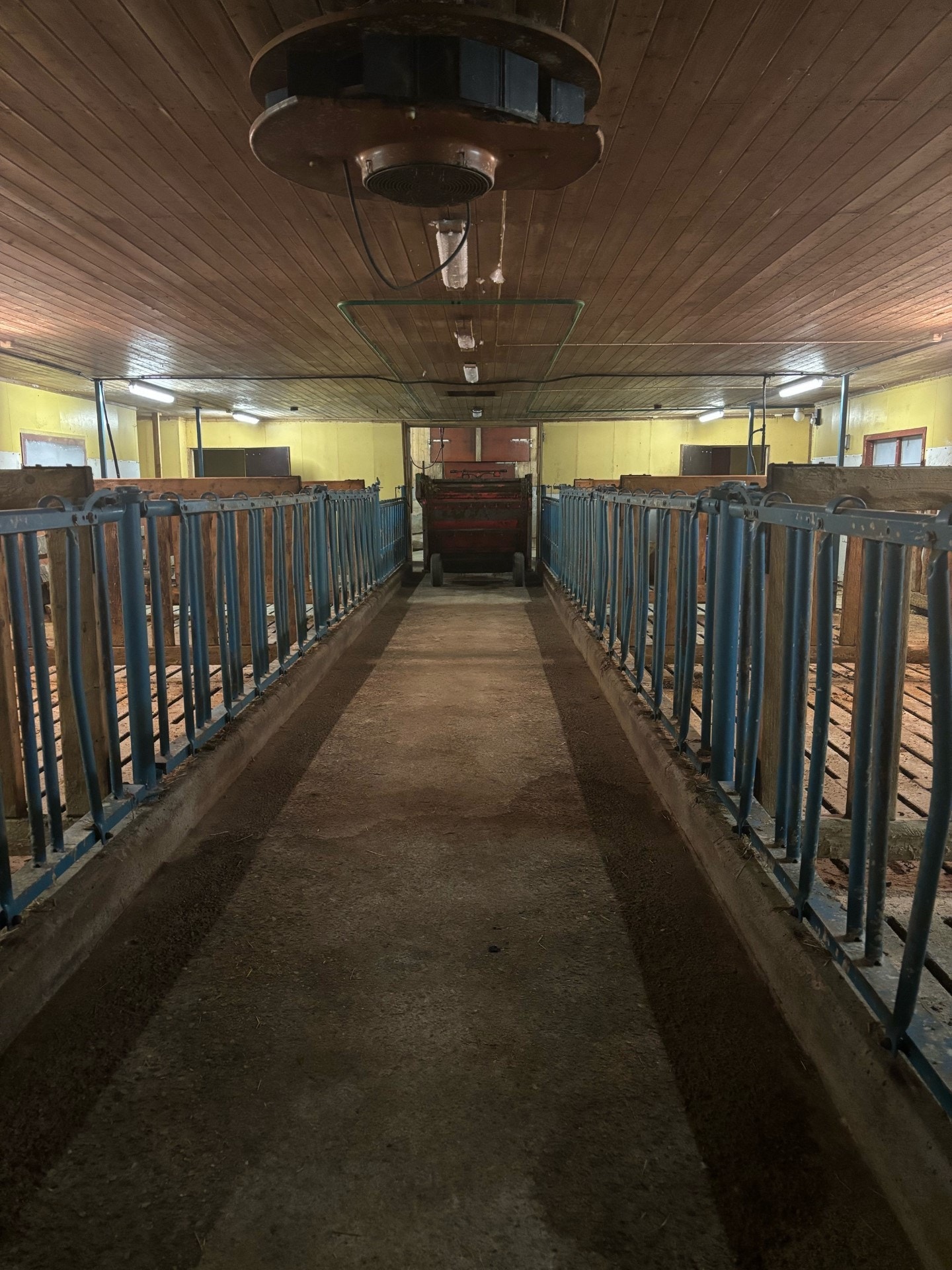 Forbrett i fjøs Galleribilde