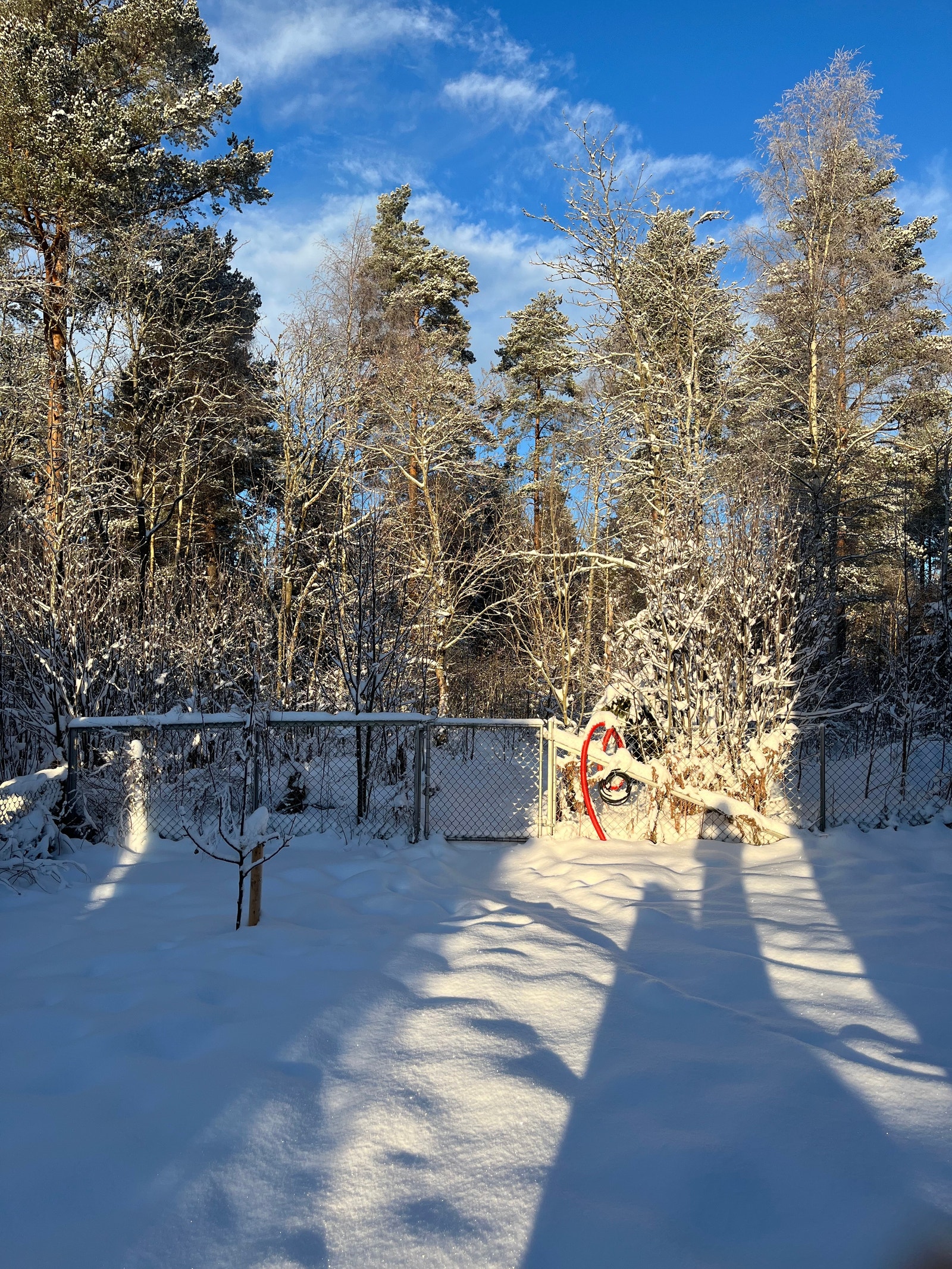 Port m utgang til marka Galleribilde
