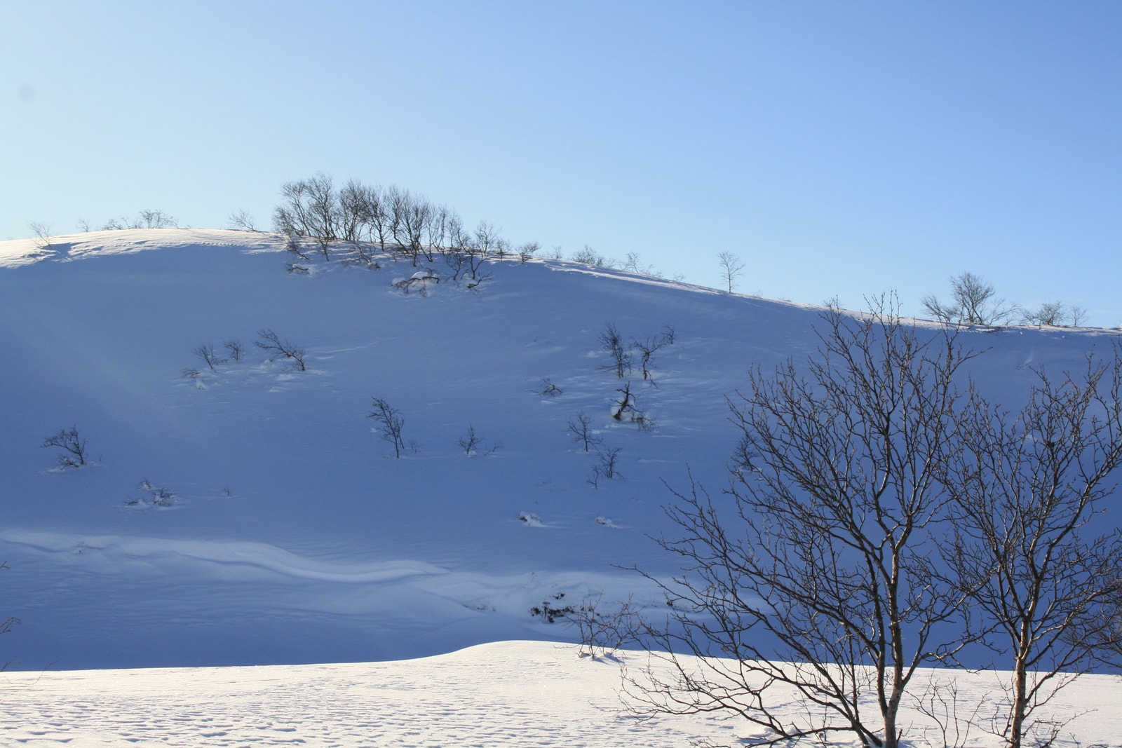 Utsikt fra tomt 20 - Kun ment for orientering, endringer vil kunne forekomme i forbindelse med utbygging av området Galleribilde