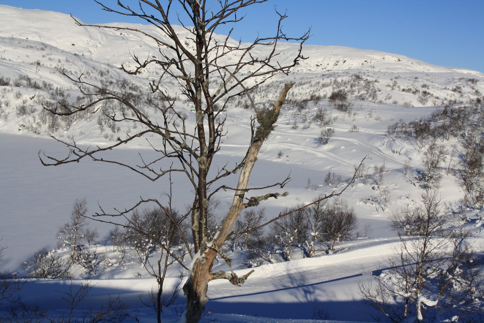 Utsikt fra tomt 11 - Kun ment for orientering, endringer vil kunne forekomme i forbindelse med utbygging av området Galleribilde