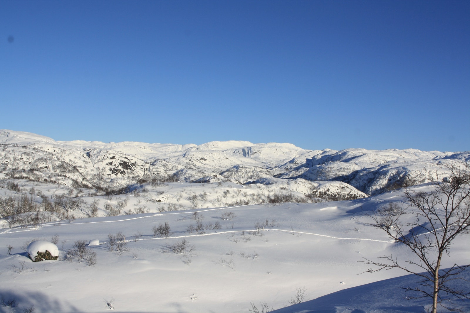 Utsikt fra tomt 15 - Kun ment for orientering, endringer vil kunne forekomme i forbindelse med utbygging av området Galleribilde