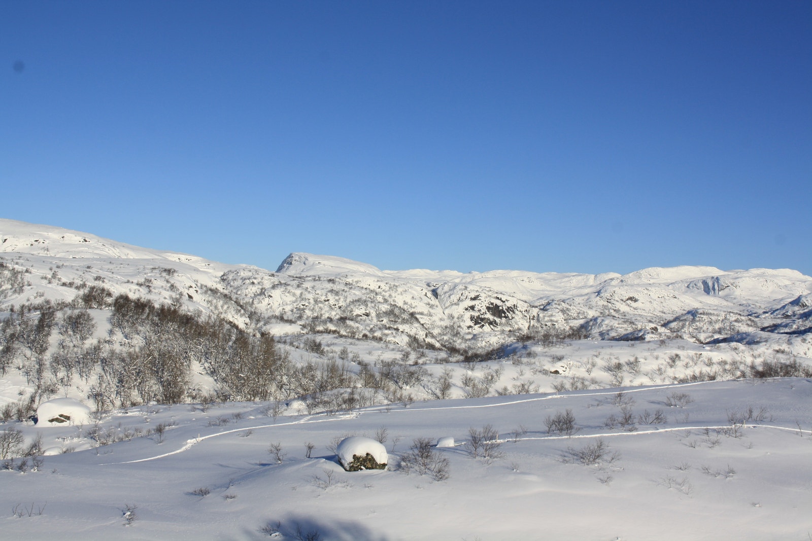 Utsikt fra tomt 15 - Kun ment for orientering, endringer vil kunne forekomme i forbindelse med utbygging av området Galleribilde
