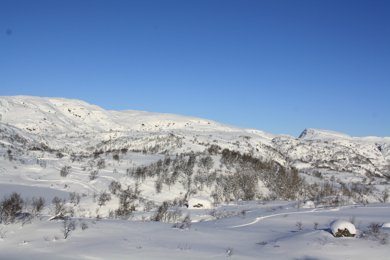 Utsikt fra tomt 15 - Kun ment for orientering, endringer vil kunne forekomme i forbindelse med utbygging av området Galleribilde