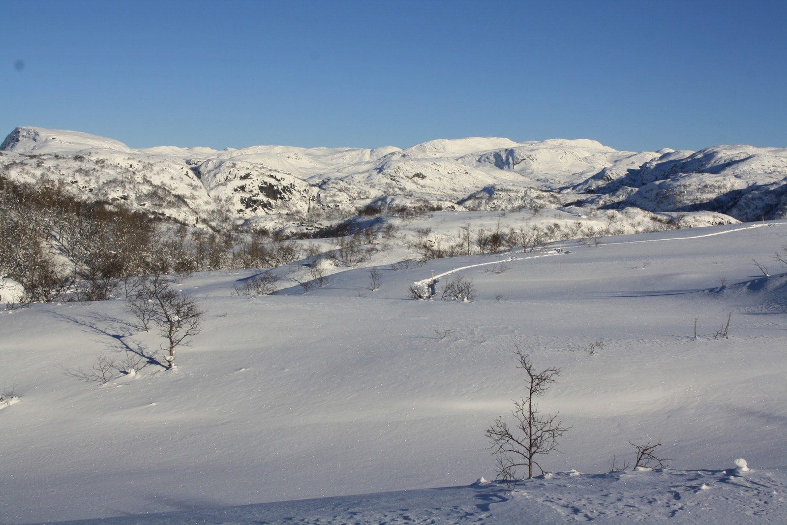 Utsikt fra tomt 14 - Kun ment for orientering, endringer vil kunne forekomme i forbindelse med utbygging av området Galleribilde