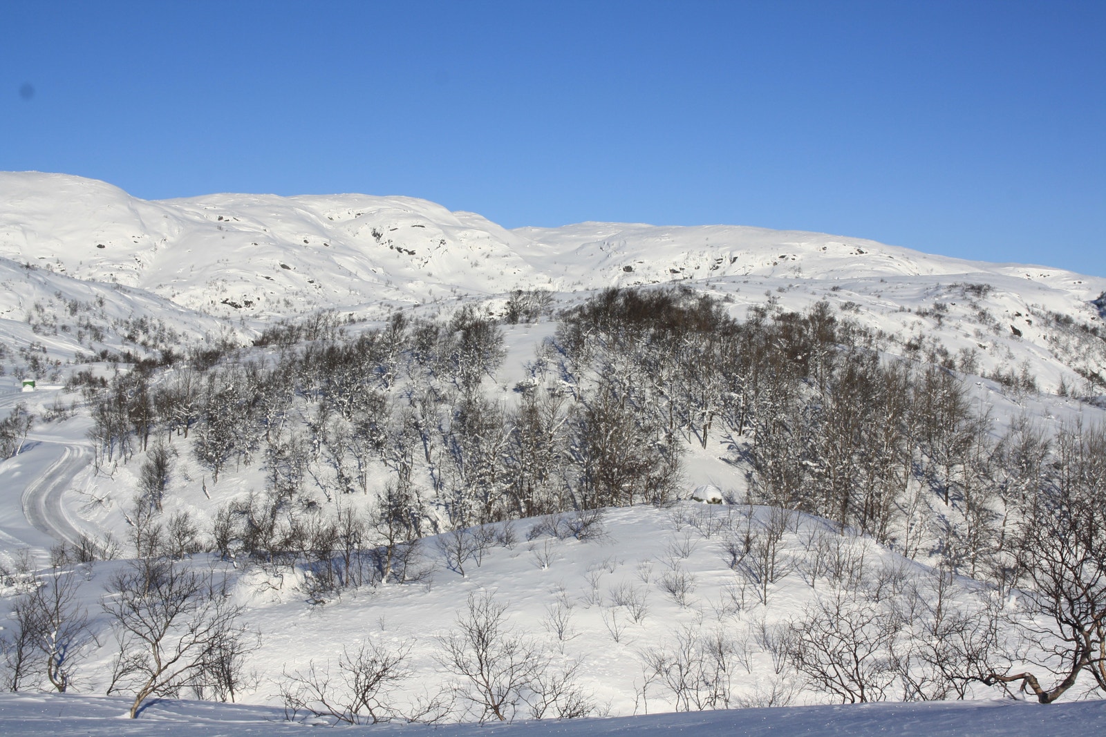 Utsikt fra tomt 24 - Kun ment for orientering, endringer vil kunne forekomme i forbindelse med utbygging av området Galleribilde