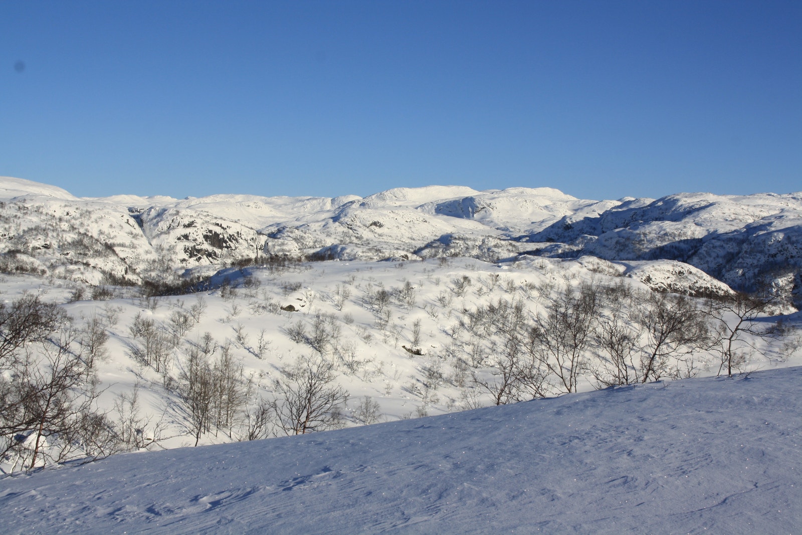 Utsikt fra tomt 24 - Kun ment for orientering, endringer vil kunne forekomme i forbindelse med utbygging av området Galleribilde