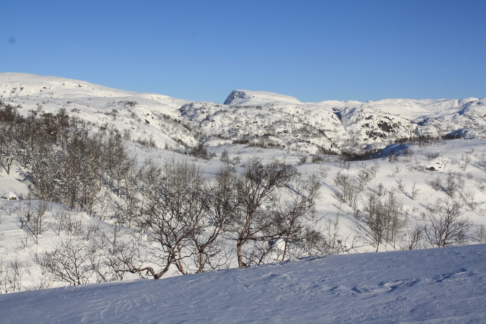 Utsikt fra tomt 24 - Kun ment for orientering, endringer vil kunne forekomme i forbindelse med utbygging av området Galleribilde