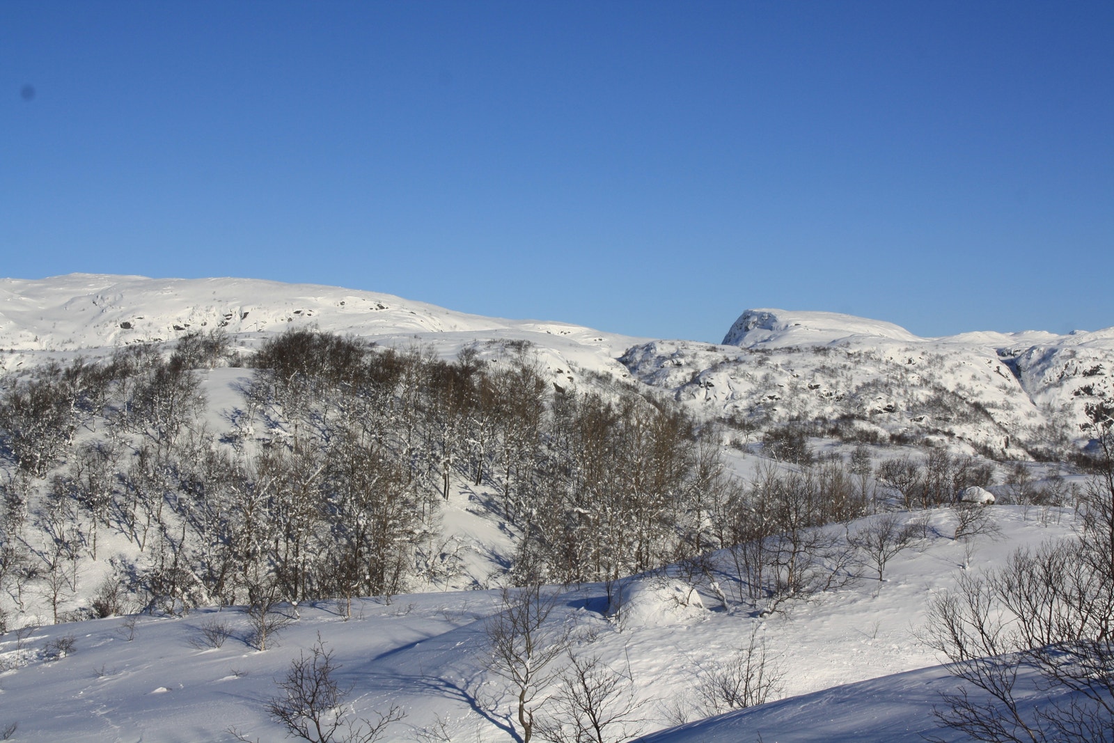Utsikt fra tomt 22 - Kun ment for orientering, endringer vil kunne forekomme i forbindelse med utbygging av området Galleribilde