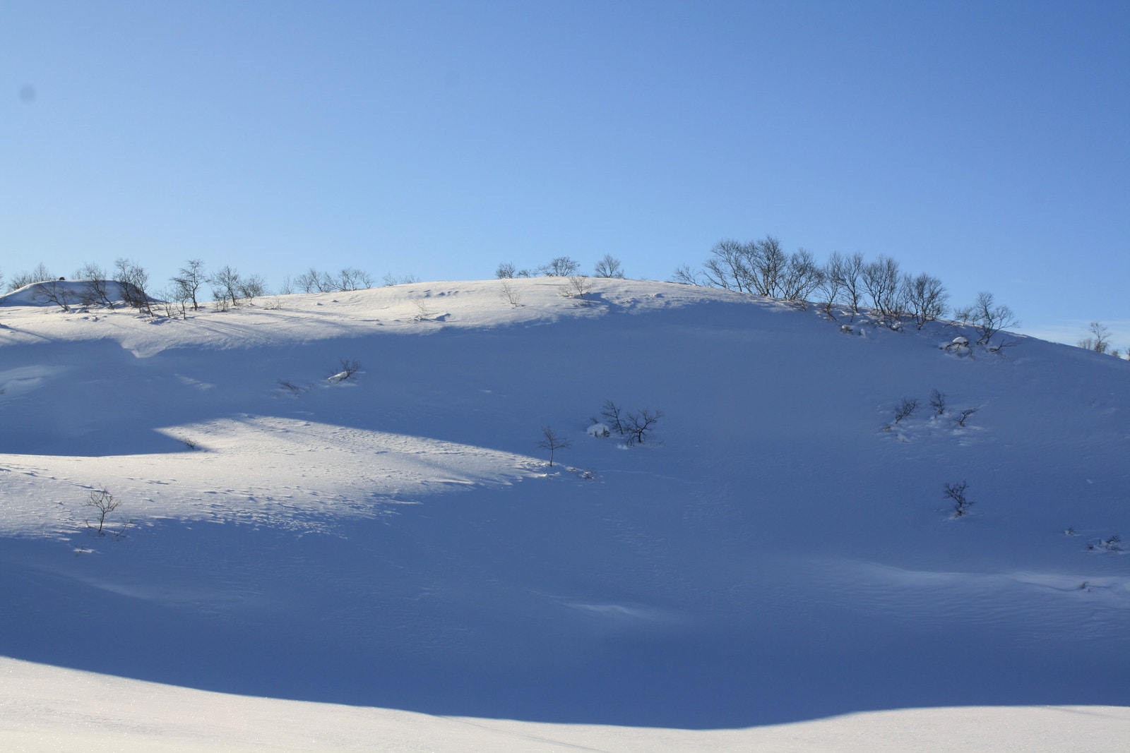 Utsikt fra tomt 25 - Kun ment for orientering, endringer vil kunne forekomme i forbindelse med utbygging av området Galleribilde