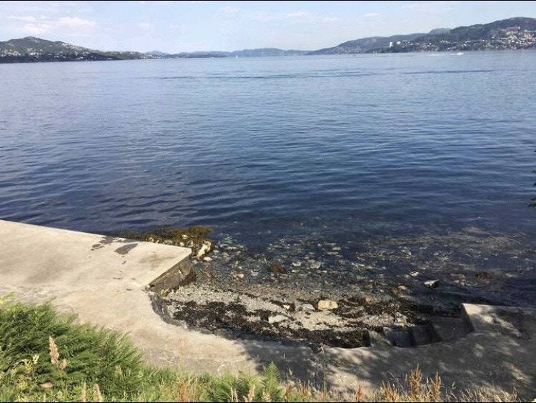 Stranden nedenfor boligen Galleribilde