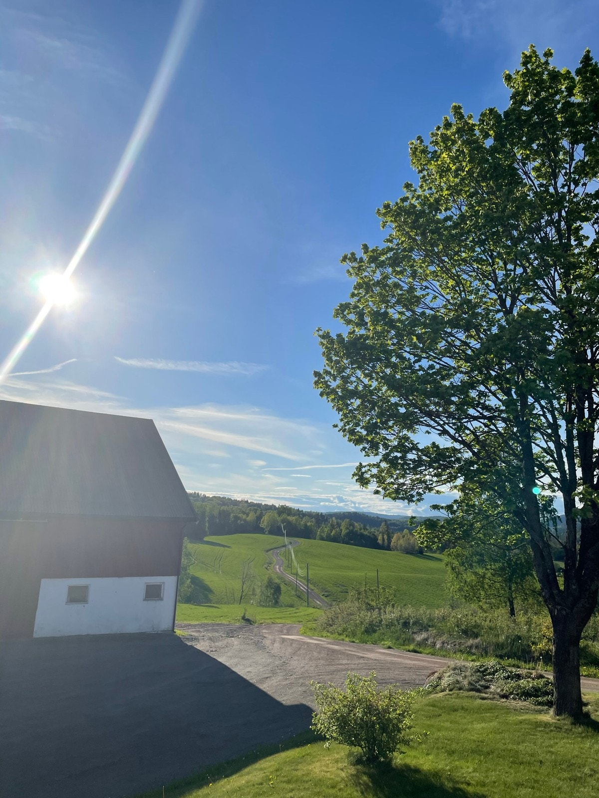 Utsikt fra huset Galleribilde
