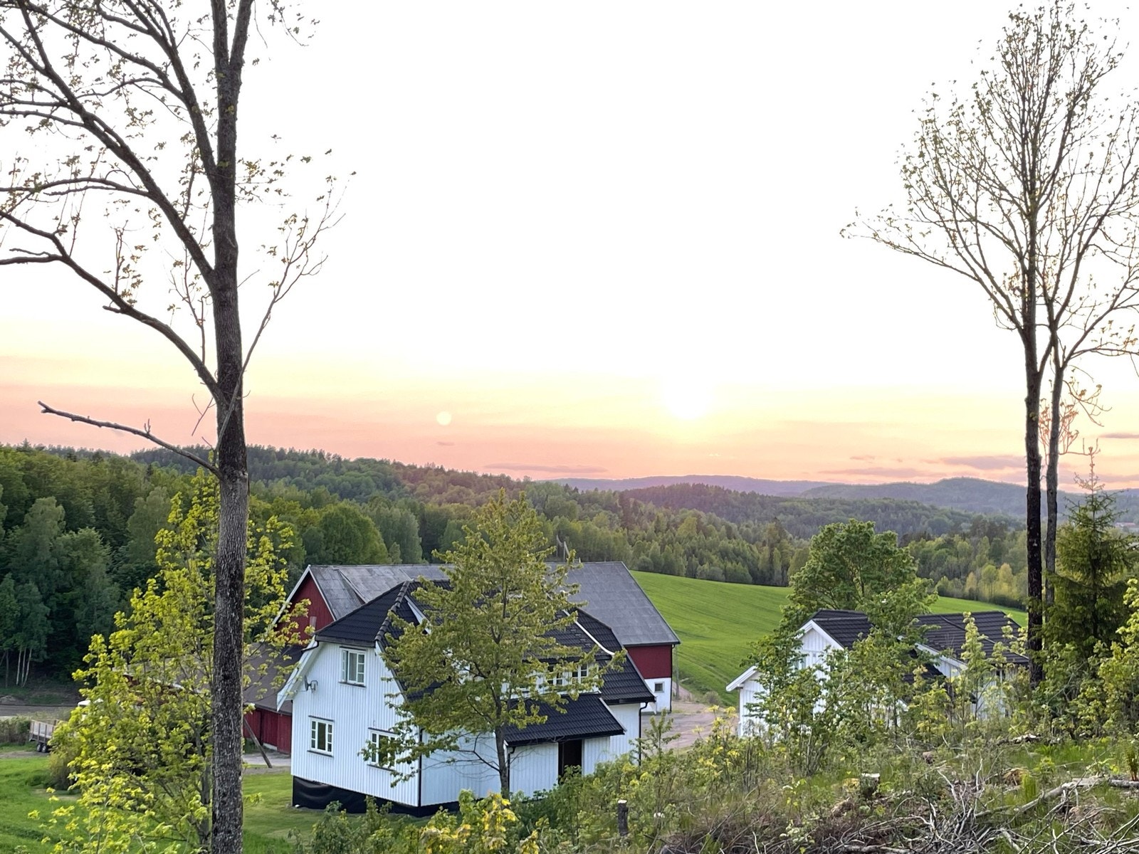 Stemningsbilde Galleribilde