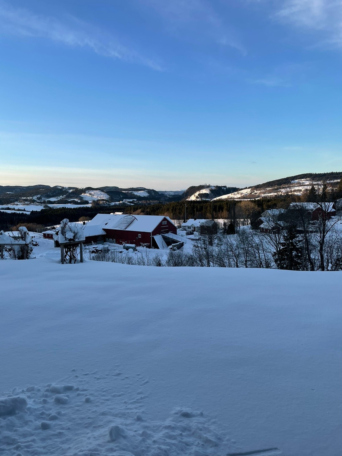 Utsikt fra uteområde Galleribilde