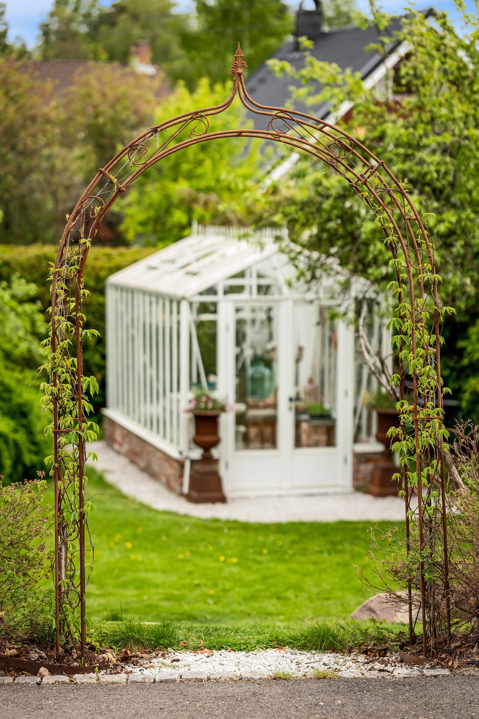 Drivhus Galleribilde