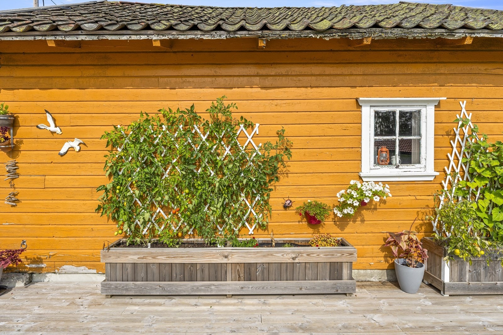 Uthus med gode oppbevaringsmuligheter Galleribilde