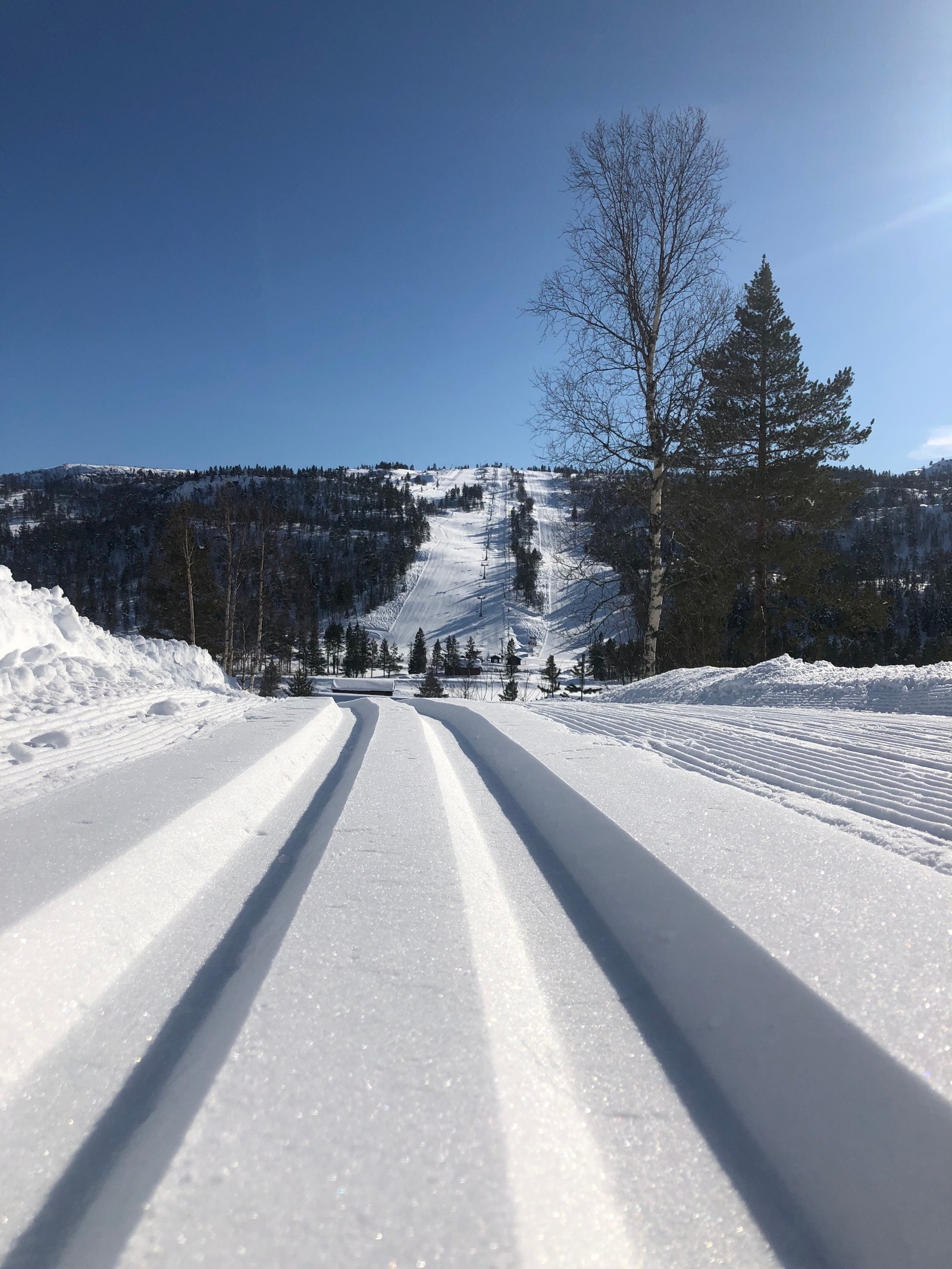 Bilde: Nydelig preparerte skiløyper Galleribilde