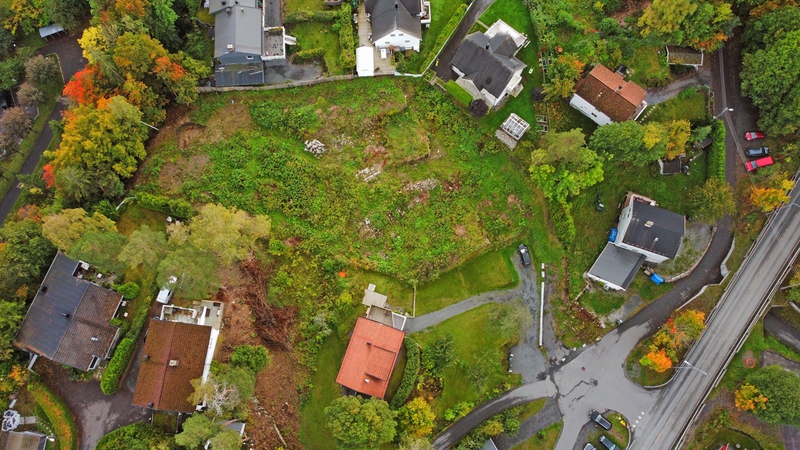 Sett ovenfra Galleribilde