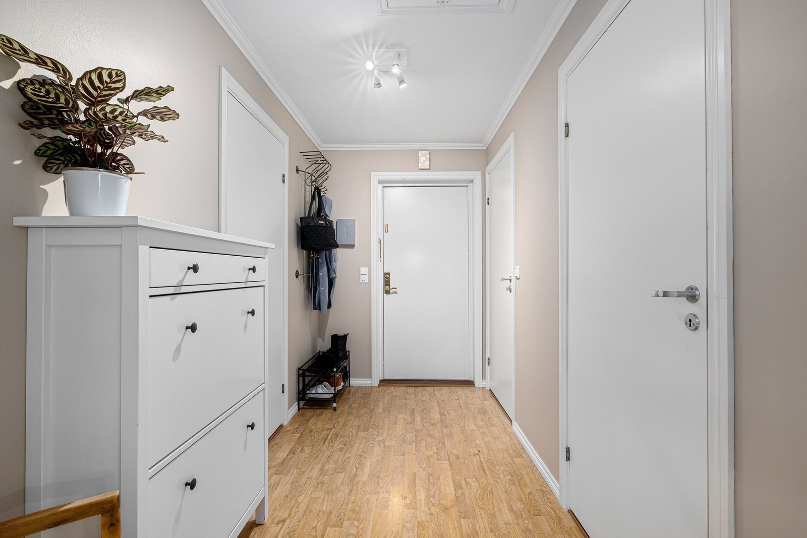 Hall/gang Galleribilde
