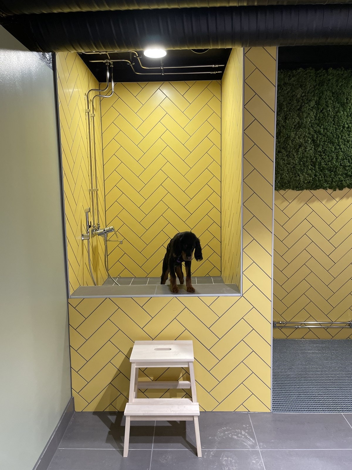 Dusj for de firebente Galleribilde