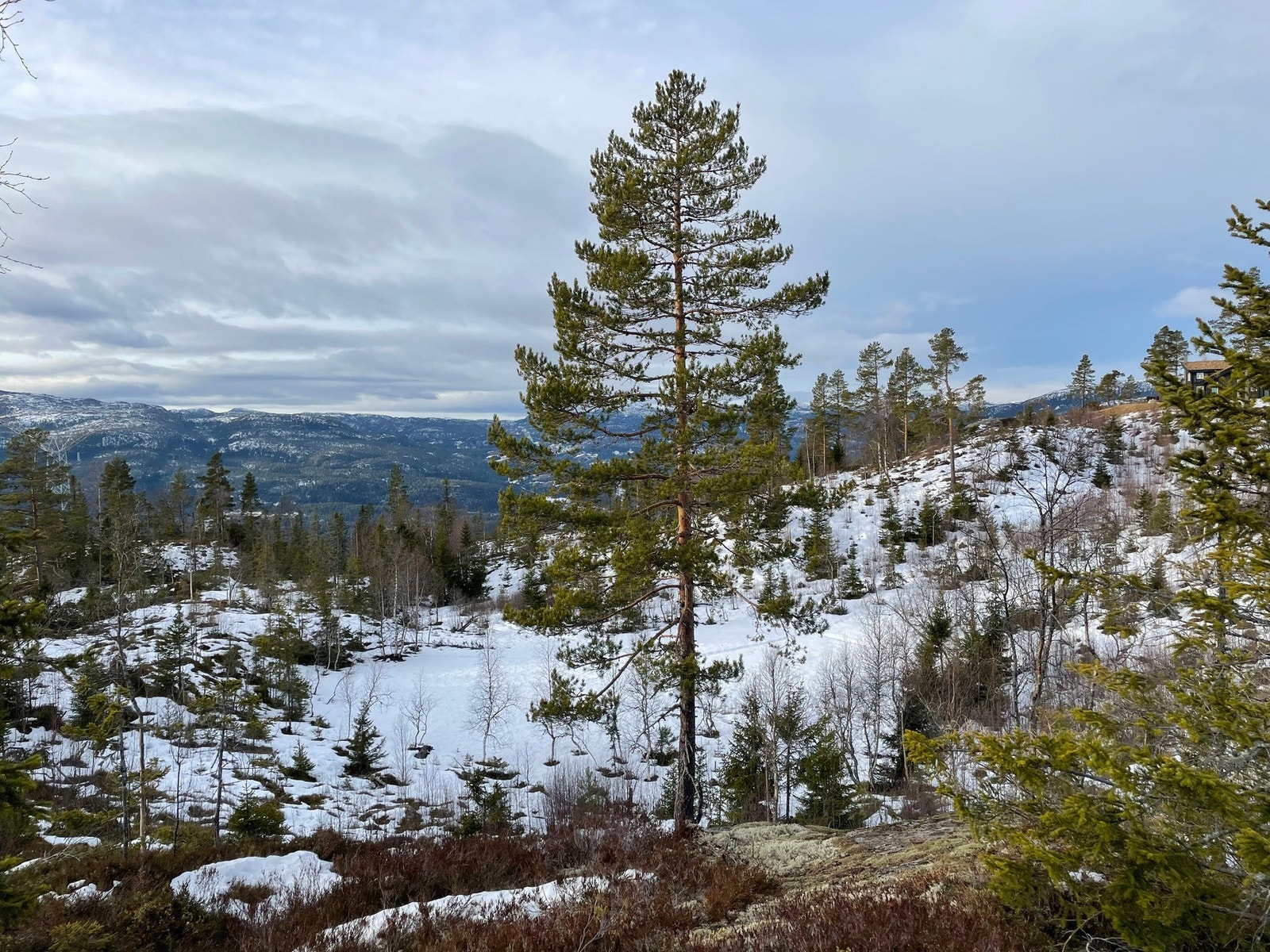 Foto fra tomt T6 Galleribilde