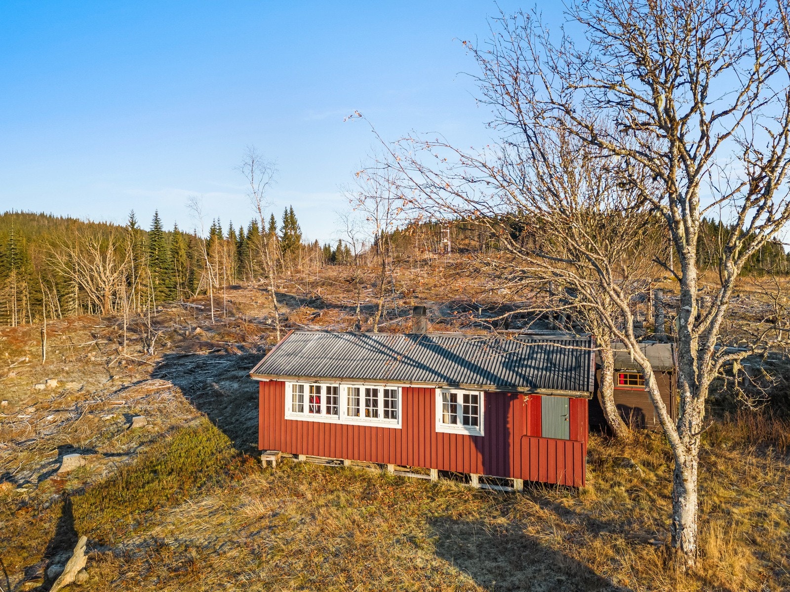 Ute Galleribilde