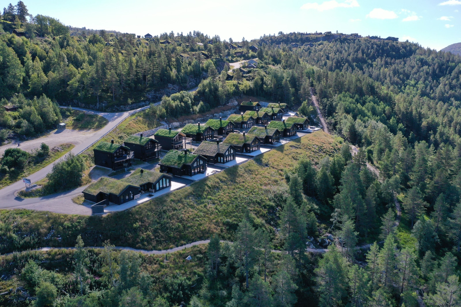 Bortelid Fjellgrend Galleribilde
