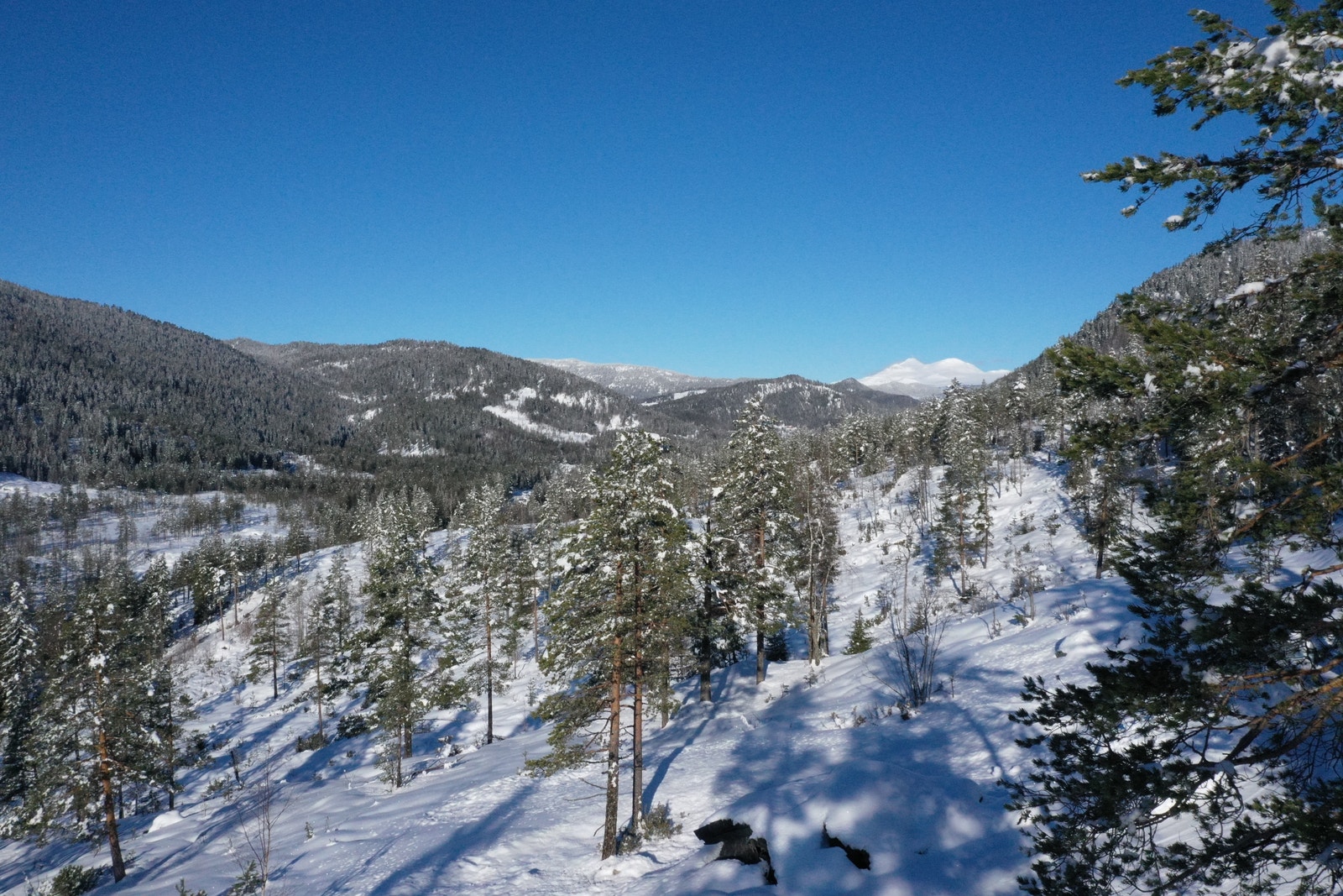 Gaustatoppen i bakgrunn Galleribilde