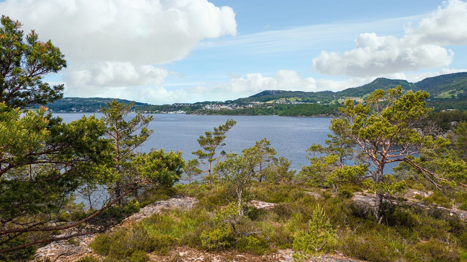 Utsikt fra en av de 5 tomtene Galleribilde