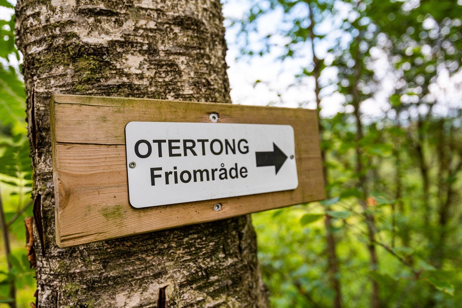 Otertong friområde ligger like ved. Galleribilde