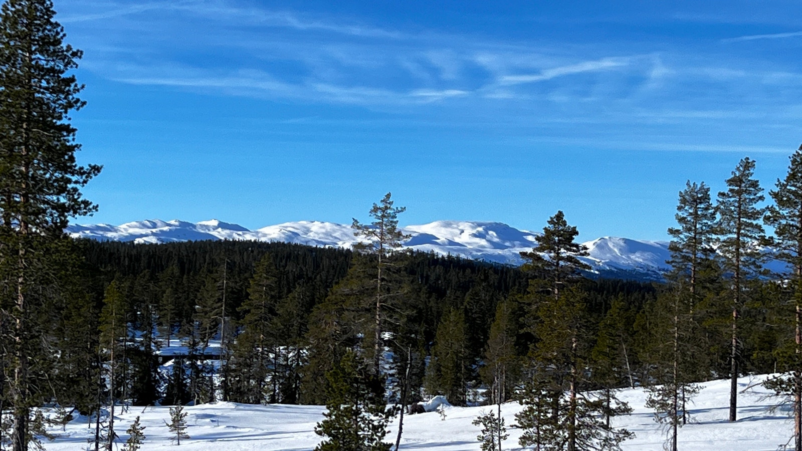 Utsikt fra tomte området Galleribilde