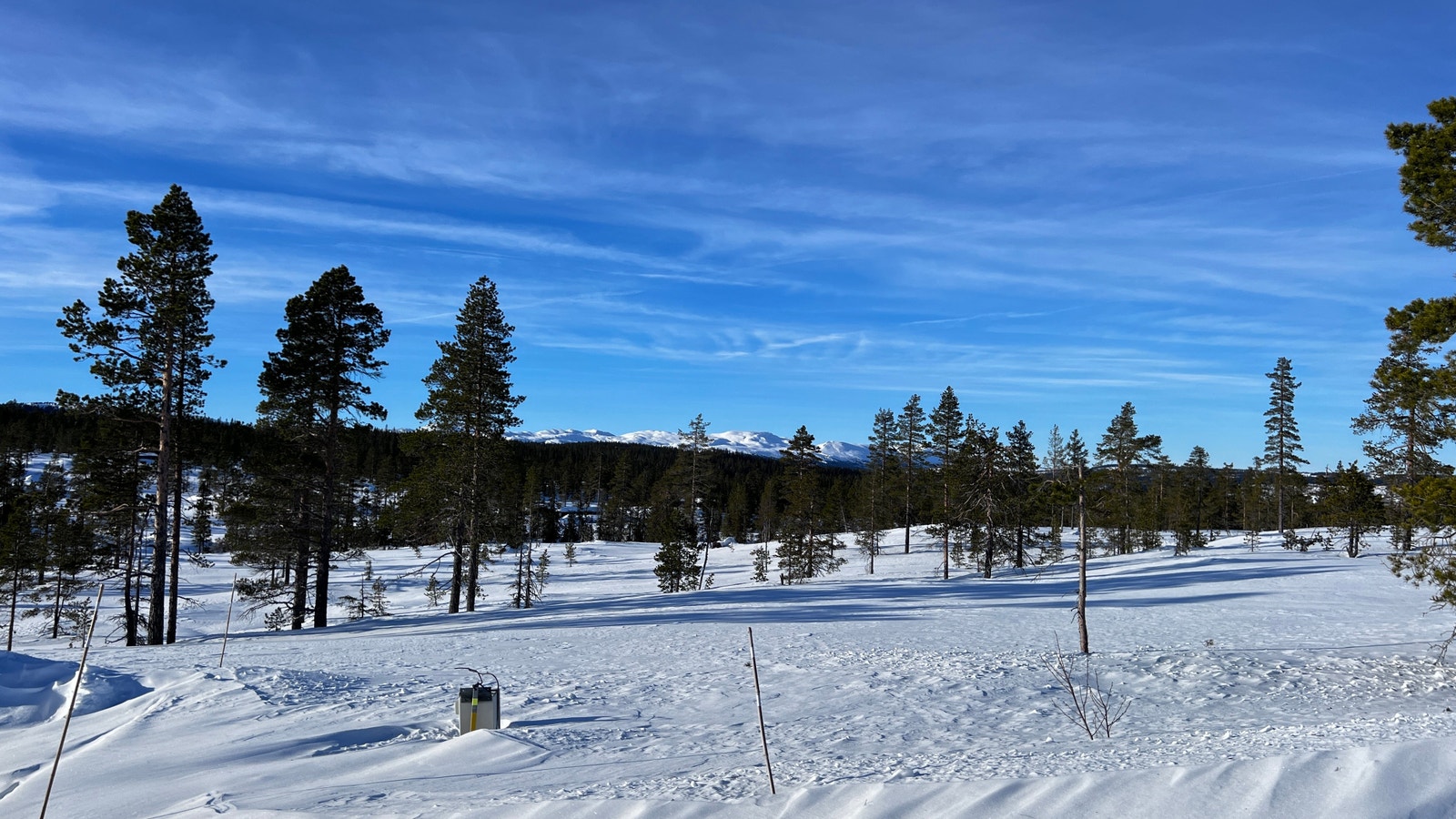 Utsikt fra tomte området Galleribilde