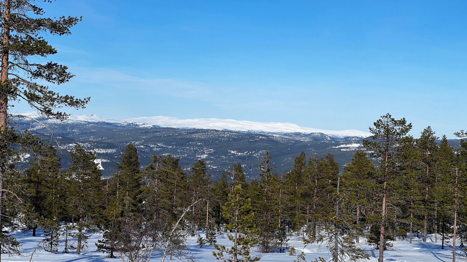 Utsikt fra tomte området Galleribilde