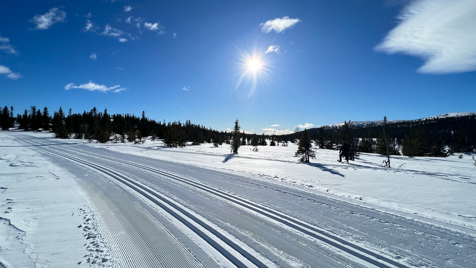 Flotte ski løyper i området Galleribilde