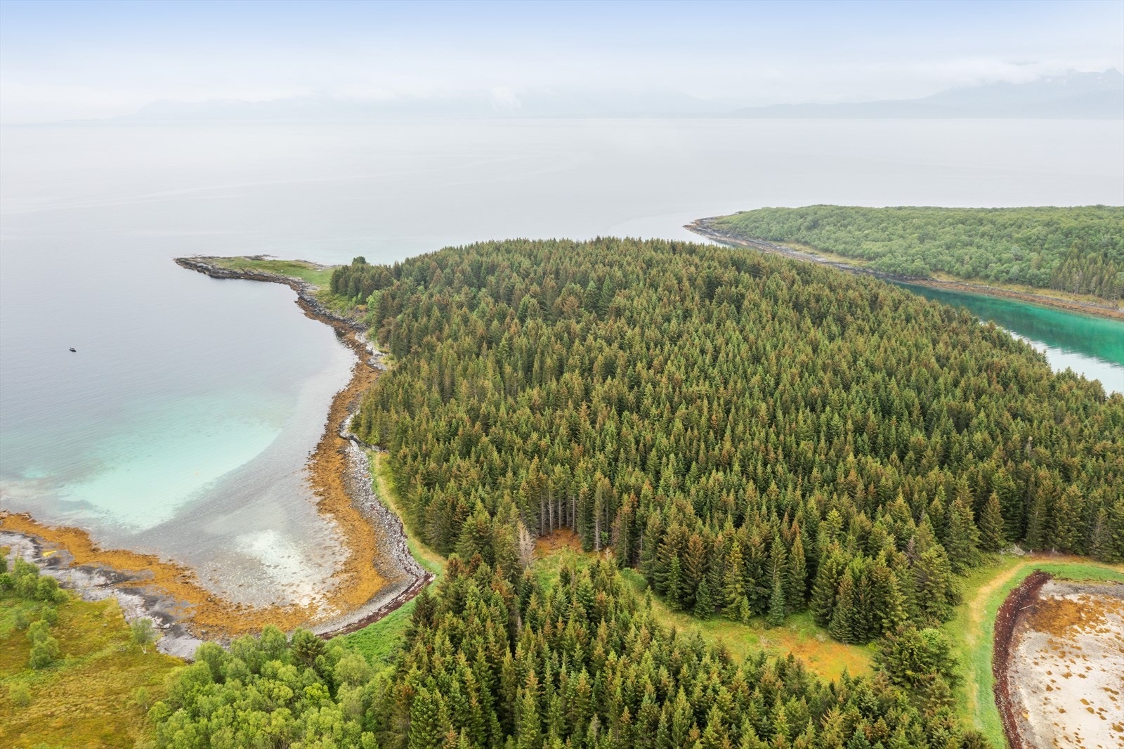 Her får du ca 40 mål skog, og resterende arealer er naturtomt Galleribilde