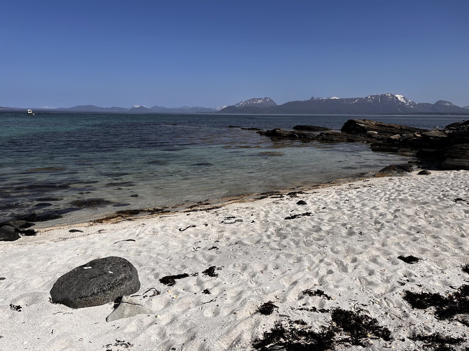 Flotte naturstrender Galleribilde