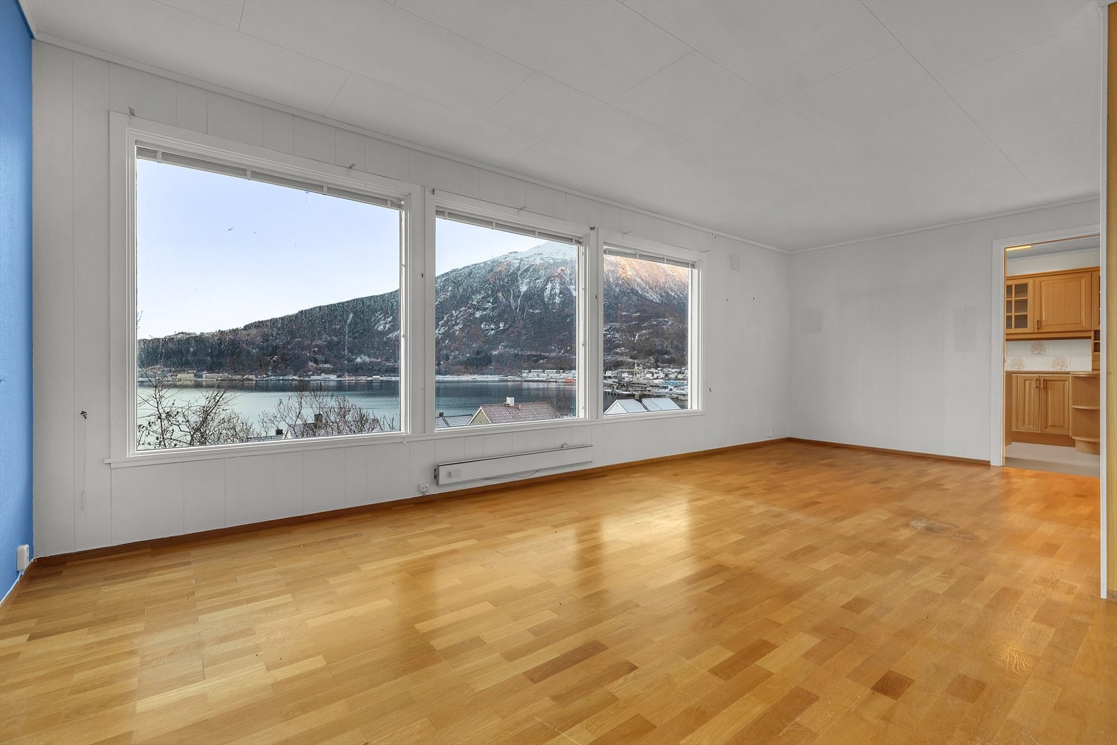 Det er flott utsikt fra eiendommen! Galleribilde