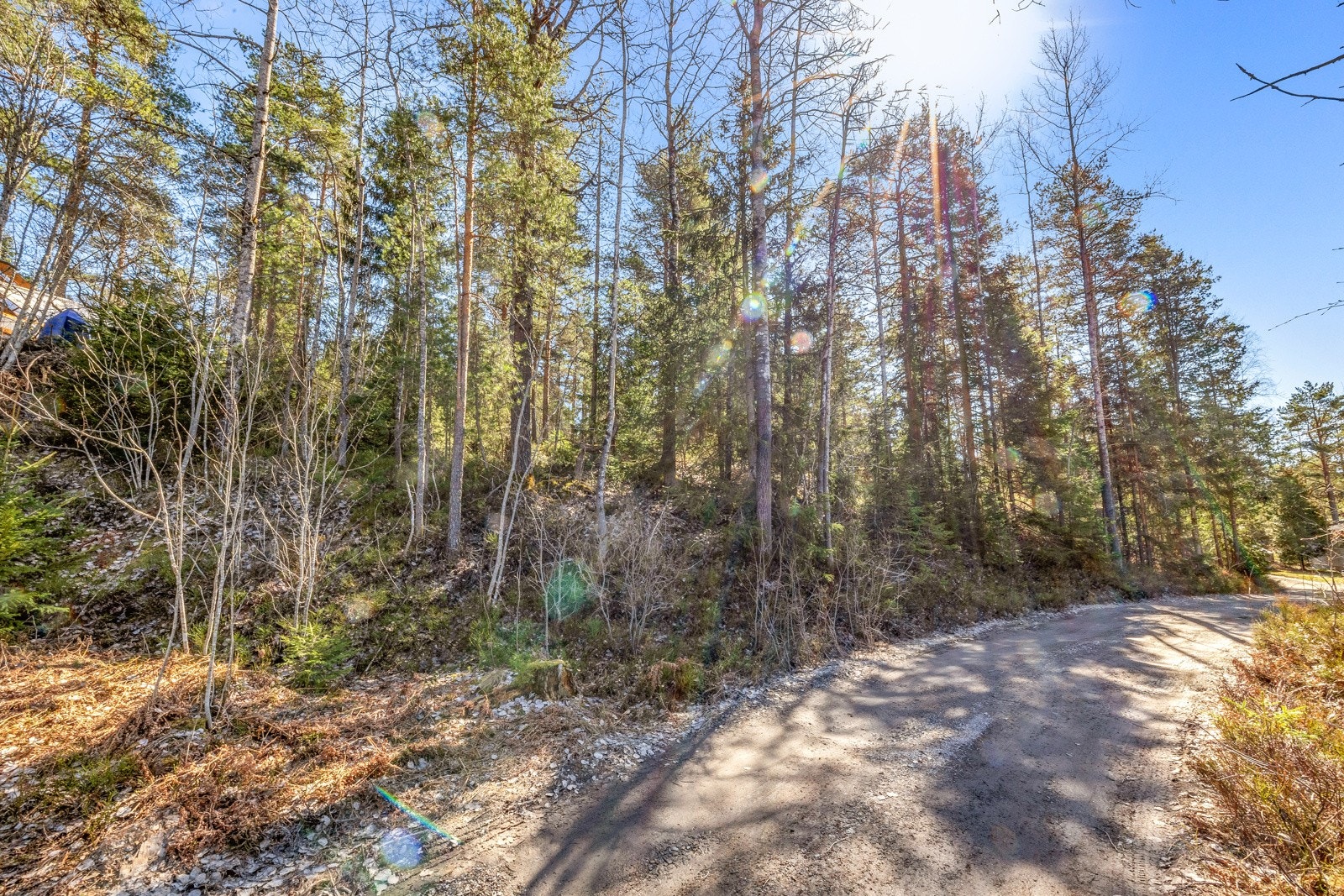 Ubebygd naturtomt med diverse trær og beplantninger. Innkjøring til tomten fra Flaggstangåsen Galleribilde