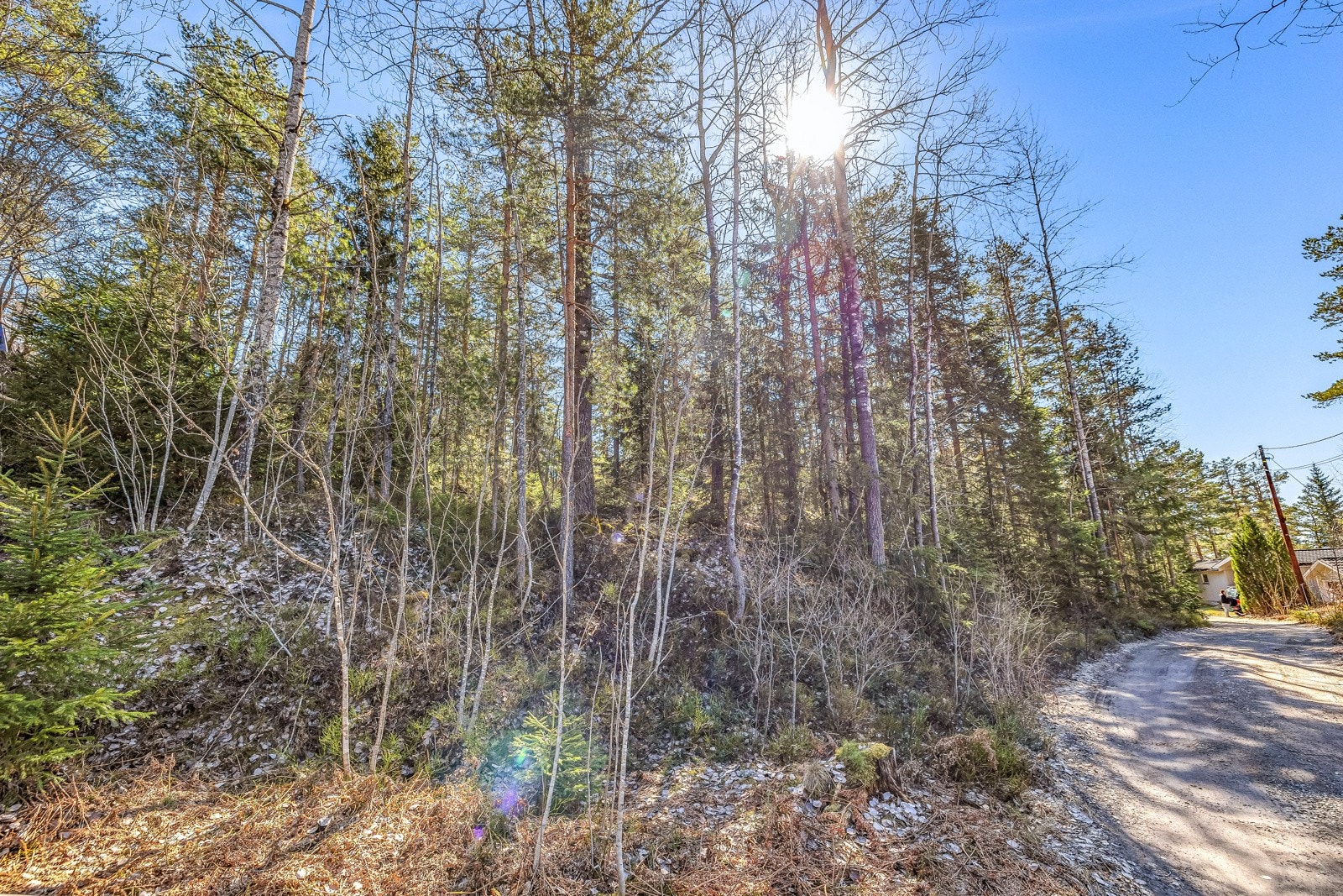 Nærområdet består i hovedsak av eneboliger og fritidsboliger. Galleribilde