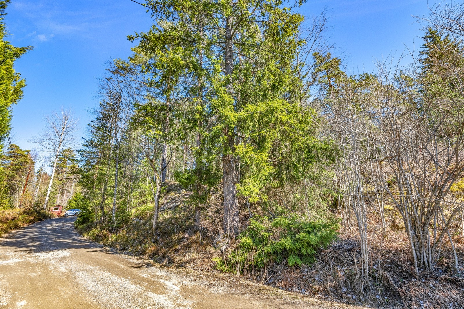 Helårsvei helt inn til tomten. Galleribilde