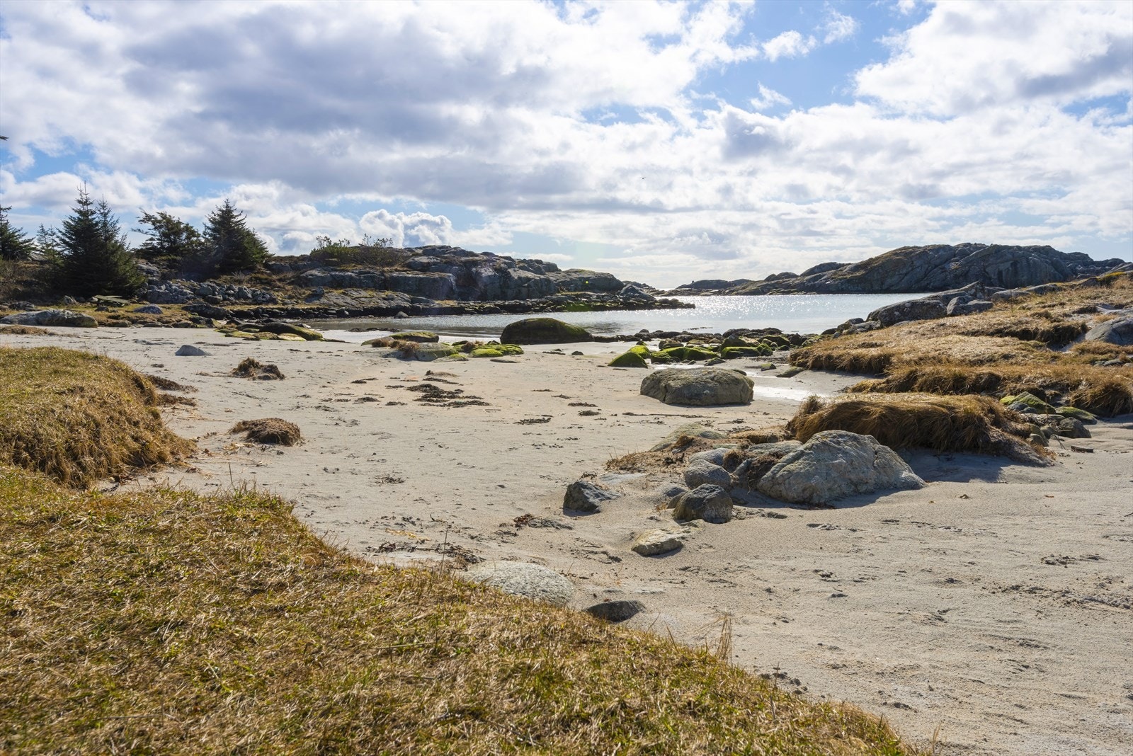 Nærområde - Sandholmen Galleribilde