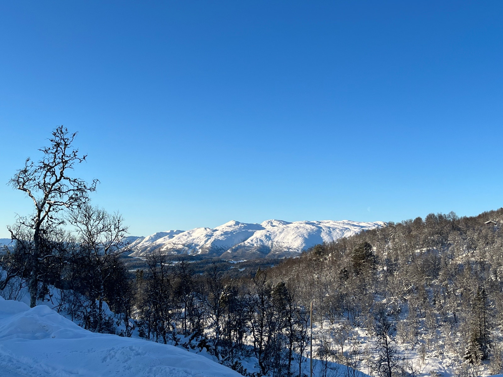 Utsikt fra Nedre Fugleleiken mot Hardangervidda. Galleribilde