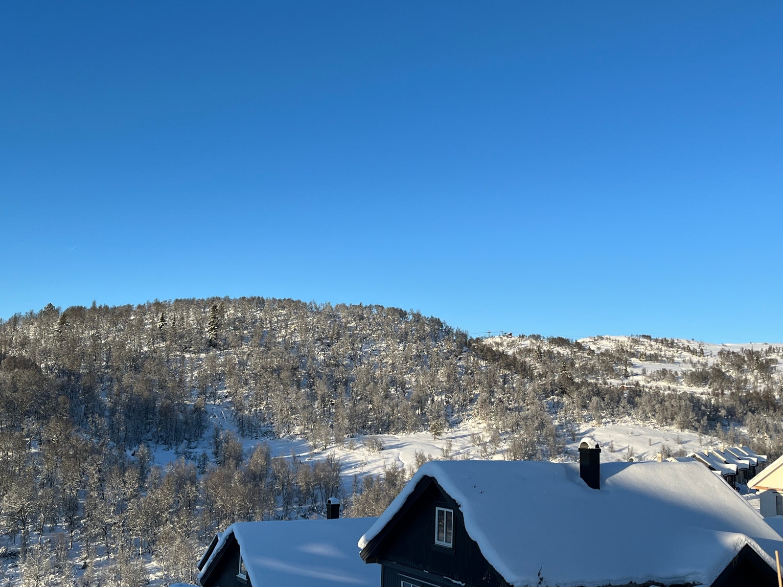 Utsikt fra Nedre Fugleleiken mot setra, naturen og topp heis mot vest. Galleribilde