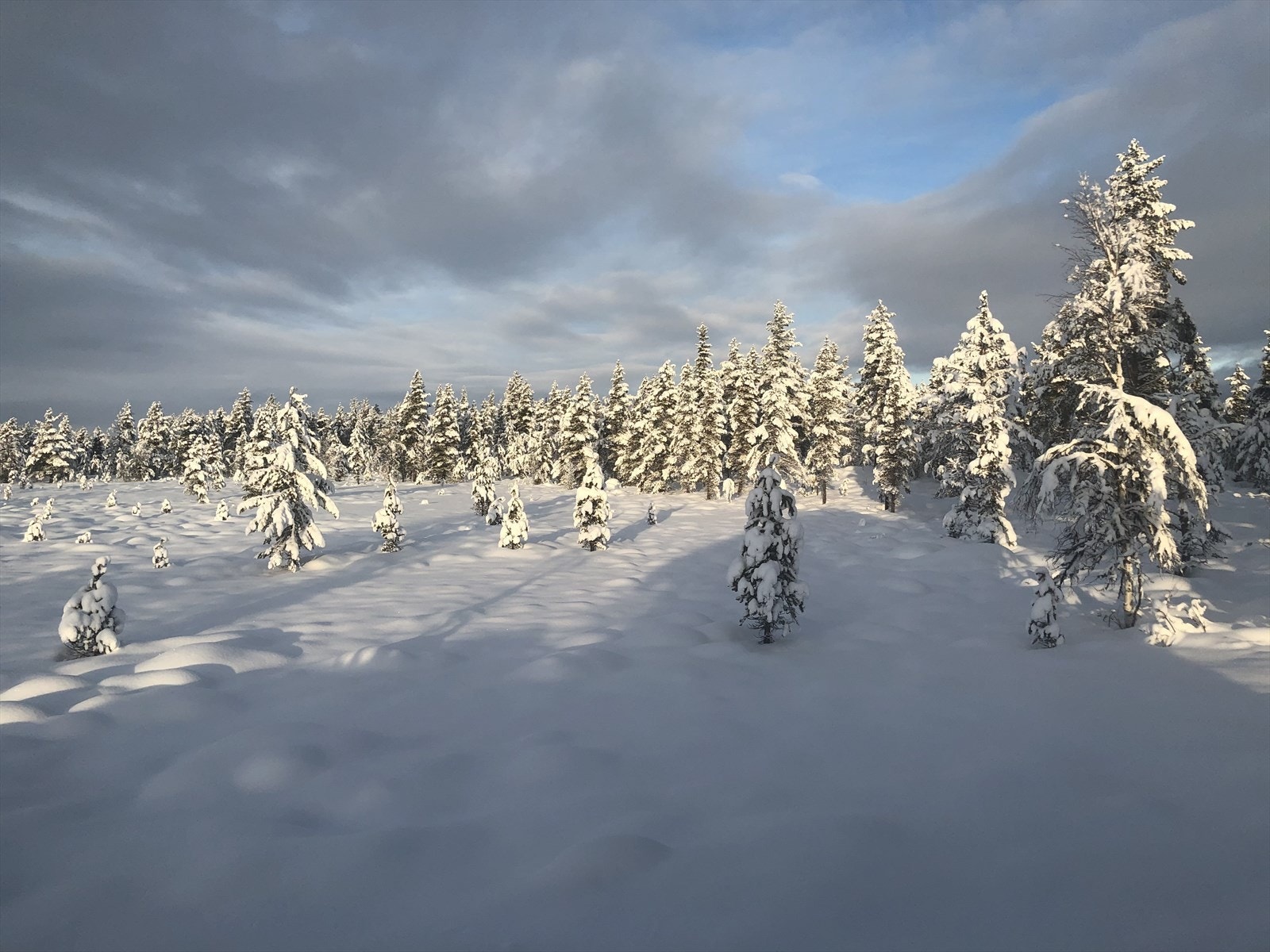 Utsikten fra soverommet. (Selgers eget bilde) Galleribilde