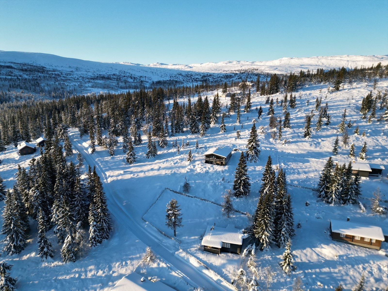 Umiddelbar nærhet til snaufjell og toppturer Galleribilde
