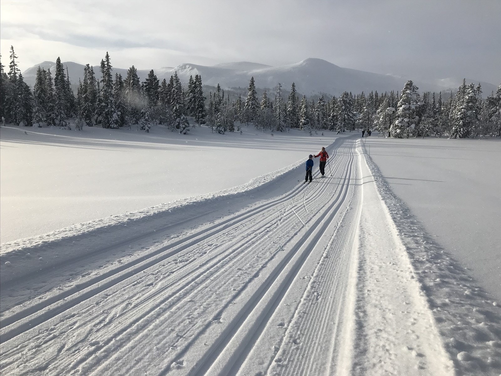 Turene kan gå mot snaufjellet og i skogsterreng Galleribilde