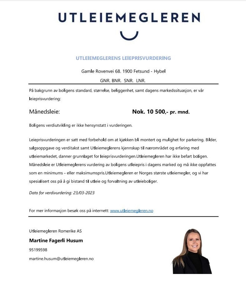Gamle Rovenvei Galleribilde