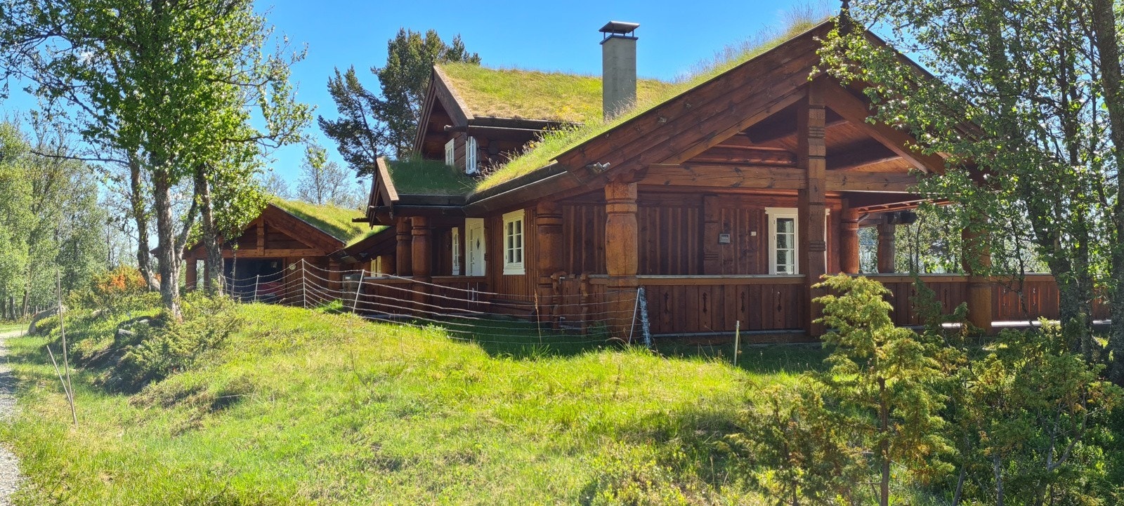 Selgers eget foto Galleribilde